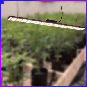 Plateau <span class=keywords><strong>pour</strong></span> pépinière plantes d'intérieur, m, éclairage Led réglable, <span class=keywords><strong>lampe</strong></span> à spectre complet - Product Image 2