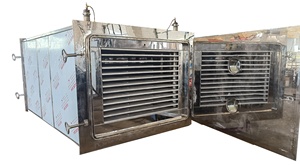 Liofilizzatore GYFD-50 per linee di trasformazione alimentare per liofilizzazione sottovuoto fiori di gelato (crisantemi <span class=keywords><strong>Cordyceps</strong></span>) calore della farina - Product Image 2