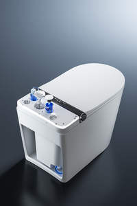 Inodoro Inteligente con Bidé Certificado CE Watermark, Taza <span class=keywords><strong>de</strong></span> Inodoro Universal con Salida Ajustable, S-trap 60-400mm, P-trap - Product Image 5