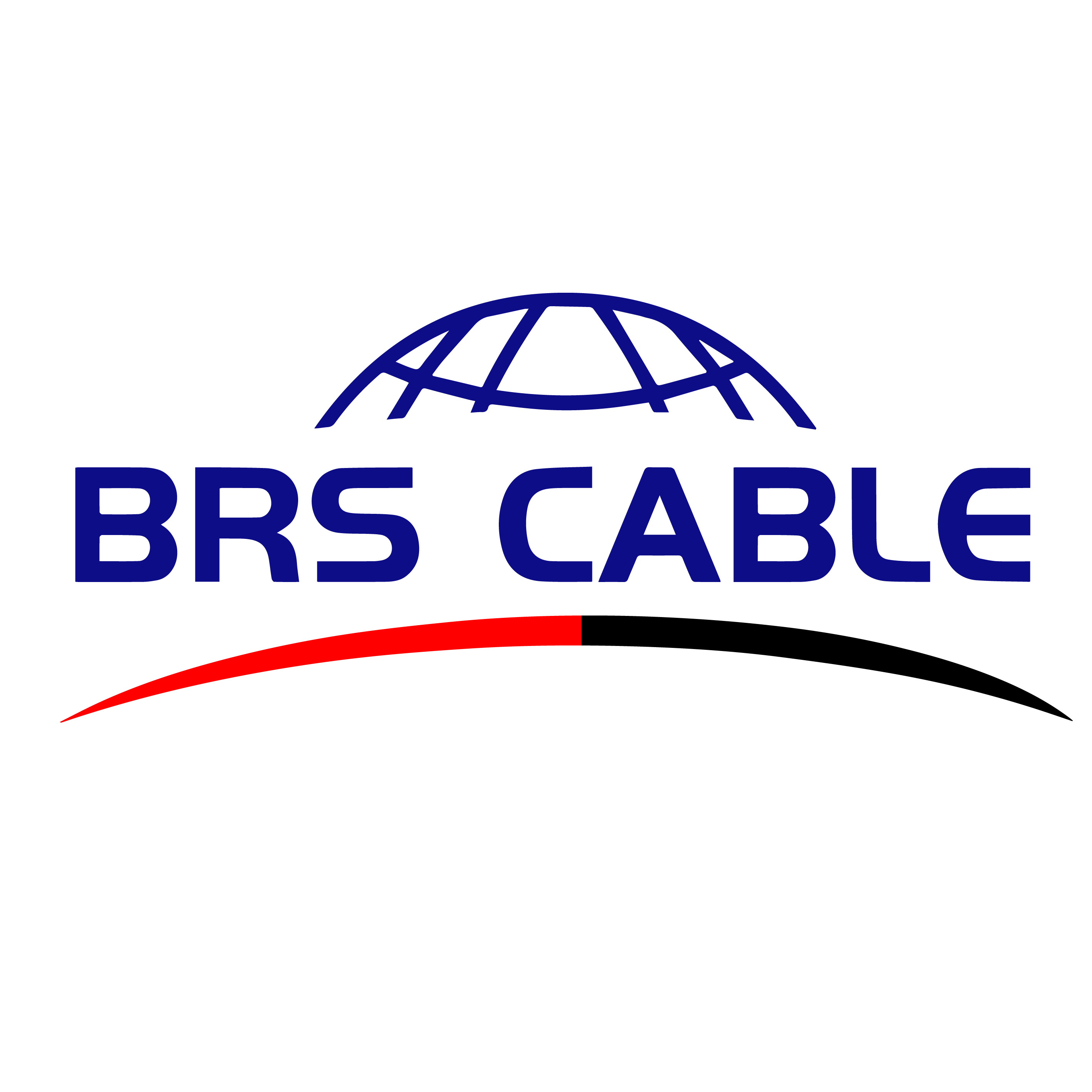 Shanghai Bo Ruisi Industrial Co., Ltd. logo