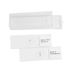 Phân chia tế bào gốc hành tây nguyên phân và nam grasshoper testis meiosis hiển thị tất cả các giai đoạn phân chia trong quần và động vật học - Product Image 2