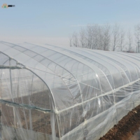 Film de serre à diffusion de lumière PO de qualité supérieure, film de couverture agricole à haute diffusion pour la culture de fruits et légumes