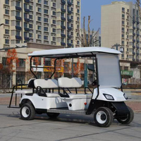 L'usine chinoise vend des chariots de golf à énergie nouvelle 2/4/6/8 places poussettes pour bébés vélos de plage Jeep 60V chariots de golf électriques vélos de club