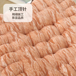 Coussin de siège en peluche de couleur unie, coussin de chaise de bureau souple et élastique pour étudiants, 25x25x3cm, hiver 2024 - Product Image 1