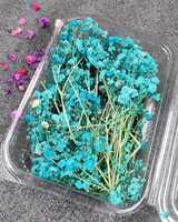 Bunga Gypsophila Kering Biru Buatan Tangan Resin Alami Pengisi Kerajinan Seni Aksesori DIY Pembuatan Lilin Scrapbooking Dekorasi Rumah Halloween