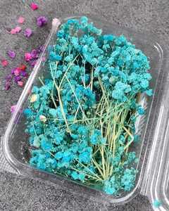 Flores Secas de Gypsophila Azules, Relleno para Arte en Resina, Accesorio para Manualidades, Decoración del Hogar y Scrapbooking - Product Image 1