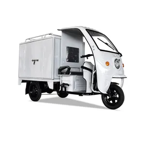 Giao Hàng Trike điện hàng hóa ba bánh cho Express ba bánh xe xe với đóng vận chuyển Trike điện ba bánh