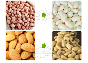 Máquina peladora húmeda automática de almendras y cacahuetes, precio - Product Image 2