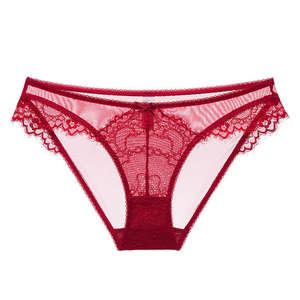 Venta Directa de Fábrica, Bragas sin Forro, Bragas Sexys de Encaje para Mujer, Conjunto de Bragas Bordadas Transparentes - Product Image 1