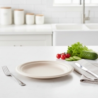Assiette ronde de 10 pouces en fibre de canne à sucre, certifiée BPI, à base de plantes, biodégradable