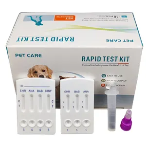Virus de la leucémie féline Felv, test fiv vétérinaire pour chat, kit de test rapide vétérinaire fiv felv veterinaria y pet Diagnostic
