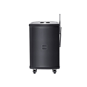 <span class=keywords><strong>T</strong></span> Best Professional Parlante 10 pulgadas 350W altavoz de fiesta de gran potencia Karaoke Altavoz fiesta altavoz portátil con USB/micrófono - Product Image 4