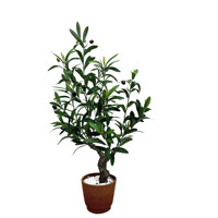 Vente en gros de petites plantes artificielles en pot, nouveaux oliviers pour la décoration intérieure et extérieure, plantes en pot denses