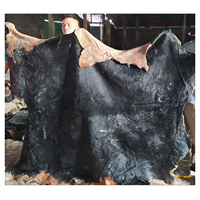Kulit Sapi Mentah Berlapis Ganda Basah dan Asin untuk Pelapis Sofa, Tas, dan Sepatu (Asal Vietnam)