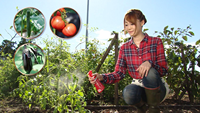 FUMAKILLA Fuda Flower Bed Amino Acid Vitality Nutrition Spray 200ml Penguat Pertumbuhan Tanaman Pupuk Organik Aluminium Taman