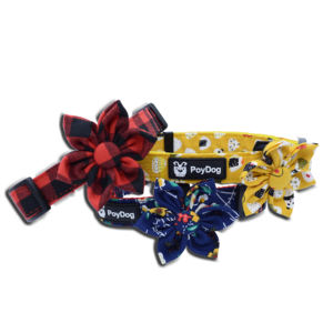 조절 애완 동물 제품 사용자 정의 martingale 개 목걸이 - Product Image 1