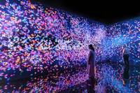 Projecteurs professionnels 20000 lumens pour exposition multimédia, exposition numérique immersive Projection numérique à 360 degrés