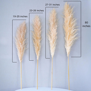 Décoration en herbe de la <span class=keywords><strong>Pampa</strong></span> séchée, plumes de roseaux naturelles et moelleuses, décoration bohème <span class=keywords><strong>pour</strong></span> la maison, herbe de la <span class=keywords><strong>Pampa</strong></span> haute couleur crème <span class=keywords><strong>beige</strong></span> <span class=keywords><strong>pour</strong></span> mariage, salon, <span class=keywords><strong>vase</strong></span> - Product Image 3