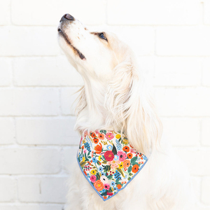 Bandana d'anniversaire pour <span class=keywords><strong>chien</strong></span> en coton de haute qualité, collier personnalisé avec logo, foulard pour animal de compagnie, motif dessin animé, design automnal, mouchoirs carrés en gros - Product Image 4