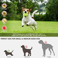 Indicateur LED automatique rechargeable par USB Lanceur de balles pour chien Distance de 10 à 30 pieds Jouet de mouvement interactif en plastique de style classique pour animaux de compagnie