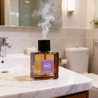 Diffuseur d'arômes artisanal écologique sans alcool pour la maison, parfum longue durée 4 mois, élégant, en verre, portable et décoratif
