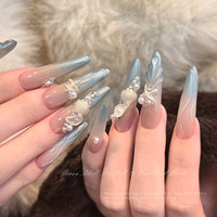 Cy1328 Kit d'accessoires pour nail art en résine étoile de mer à 12 compartiments, best-seller transfrontalier, strass à dos plat DIY pour décoration de nail art
