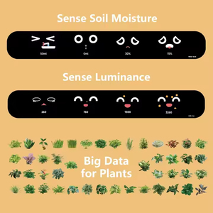Smart <span class=keywords><strong>Mimi</strong></span> Flower Pot AI Sensor Interacción facial APP Digital Pet Self Drying Flower Pot - Product Image 3