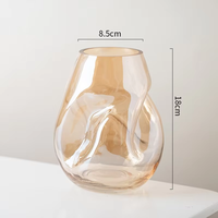 Vase en verre ambré de forme irrégulière de style nordique, récipient hydroponique créatif pour la décoration florale du salon