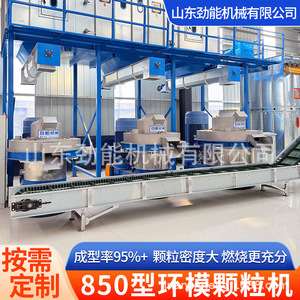 Machine de fabrication de granulés Xinliang Ring Die Pellet Mill 850, pour la production de granulés de sciure de bois industrielle, permettant une économie de charbon. - Product Image 2