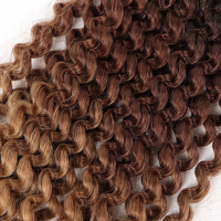 Orient Passion Twist Crochet Cheveux Passion Twist Crochet Tresses
