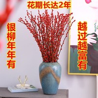 Natürliche Trocken blume Silver Willow Spring Festival Konservierte Blumen pflanzen Wohnkultur Salix Argyracea