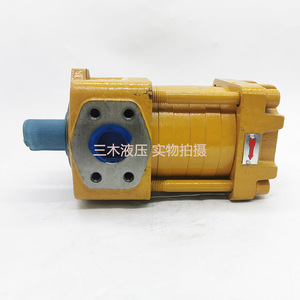 Pompe à engrenages interne haute pression Nt2 G12f 25mpa pour machines à cintrer, entraînement électrique en fonte - Product Image 4