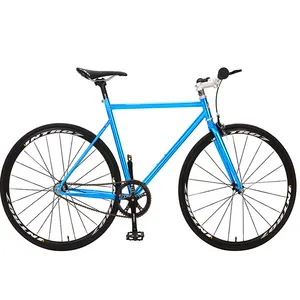 Chinese factory wholesale 700c fixed gear bikes no brake bicycles on for hot selling