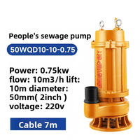 Moteur portable à entraînement fileté 0,75 kW 22 kW, carter en fonte, haute pression, pour transfert de déchets solides, drainage agricole rural, eaux usées submersibles