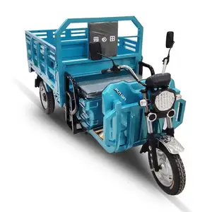 New Arrival Drum Brake Tricycle With Wagon Electric Pallet Truck For Elder Use