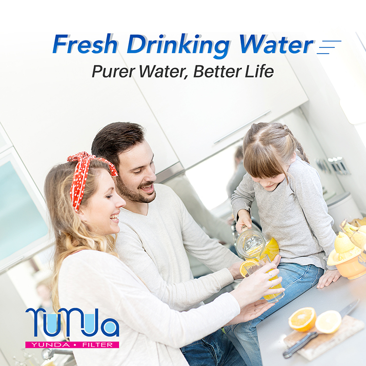 water filter cartridge and carbon block
