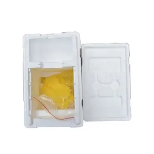 Apicultura, equipamento de apicultura branca e amarela caixa nuc poliestireno abelha styroespuma mini caixas de correspondência