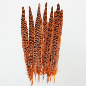 Plumas Naturales de Faisán Naranja de Cola Larga, Pluma Artificial para Fiestas, Carnavales, Decoración del Hogar, Bodas, Jarrones, Manualidades, Disfraces - Product Image 1
