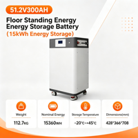 Batterie LiFePO4 51,2 V pour stockage d'énergie solaire hors réseau, stockage d'énergie commercial, alimentation photovoltaïque 51,2 V