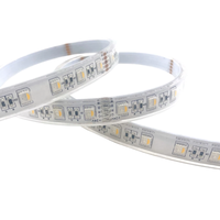 Bande lumineuse sous-marine pour piscine colorée DC12V/24V 5050 60LEDs 12mm 4 en 1 RGBW Epistar LED pour aménagement paysager
