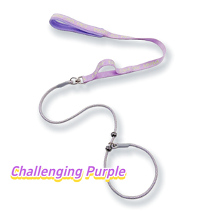 Dual-Handle PChain Short &amp; Long <strong>Leash</strong> with Dual Positioning Buckles Metal Universal Swivel Anti-Tangle Easy Control for Various - Product Image 5