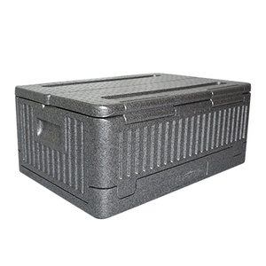 Custom Size Camping Cold Chain Insulated Foam Container Food Thermo Cooler EPP Delivery Boxes