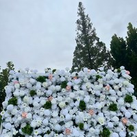 Dinding Bunga Mawar Hydrangea 3D Edisi Deluxe Kustom untuk Latar Belakang Pernikahan, Kain Peony Campuran untuk Dekorasi Pesta Pernikahan Luar Ruangan