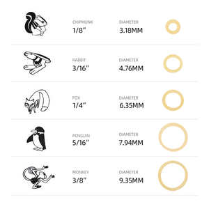 5000 pcs/box Consommables Dentaires Utilisation Orthodontique Différents Modèles Bandes Élastiques Dentaires - Product Image 4