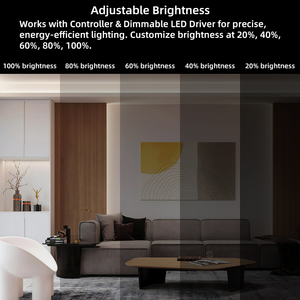 Linh hoạt COB LED Strip 320 LED/M siêu mỏng 12V/24V IP20 DIY đèn nền 3000K/4000K/6500K mô hình chuyển đổi - Product Image 3