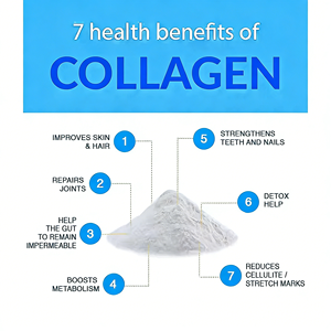 OEM/ODMプライベートラベル加水分解プロテイン（ヒアルロン酸、ビオチン、ビタミンC配合）l マルチコラーゲンパウダー - Product Image 3