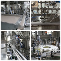 Machine de remplissage automatique de liquides de type linéaire pour spiritueux, jus de fruits, huile de cuisson avec machine de lavage de bouteilles