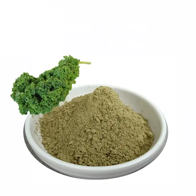 Food Grade Green Vegetable Extract Organic Kale Powder for Solid Drink