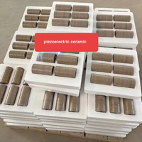 Sensor Transduser Ultrasonik Daya Tinggi Elektroda Penuh Pzt8 Cincin Piezoelektrik Cincin Keramik Piezo