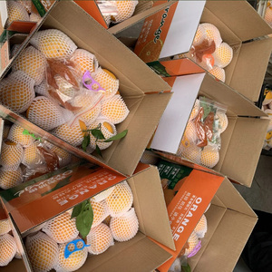 Nhựa Lưới Net Phân Hủy Sinh Học Bọt Net <span class=keywords><strong>Foam</strong></span> Sheets Nhà Sản Xuất - Product Image 6